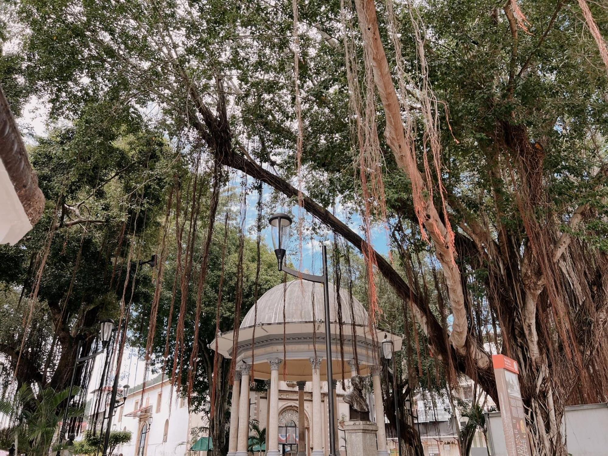 Maison Boheme - La Manzana Panama Ngoại thất bức ảnh